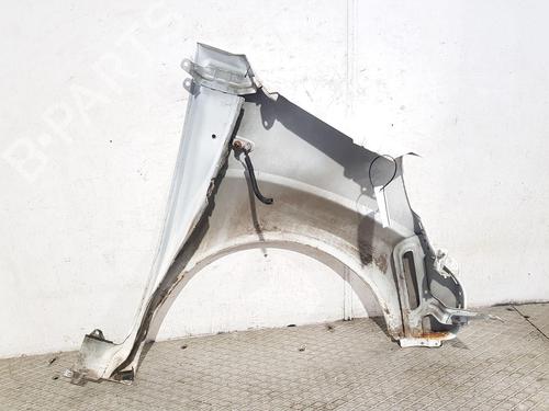 Left front fenders CITROËN NEMO Box Body/MPV (AA_) 1.3 HDi 75 | BP29549415C41 