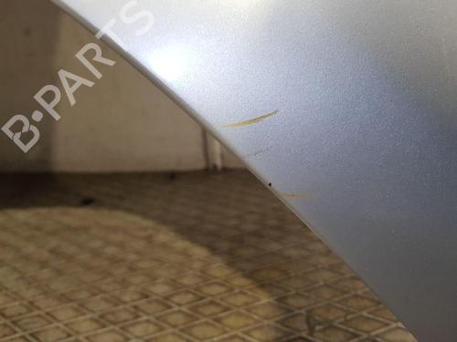 Left front fenders NISSAN X-TRAIL I (T30) 2.2 dCi 4x4 | BP28482789C41 
