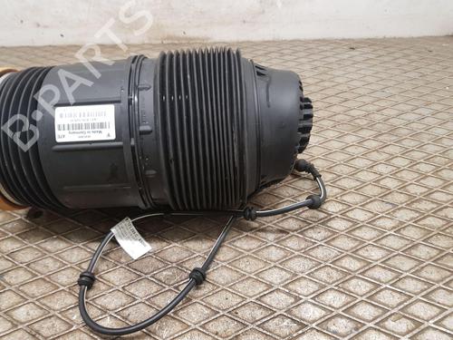 Højre bagtil støddæmper BENTLEY CONTINENTAL Convertible (3S_) 4.0 V8 AWD | BP31663521M19 