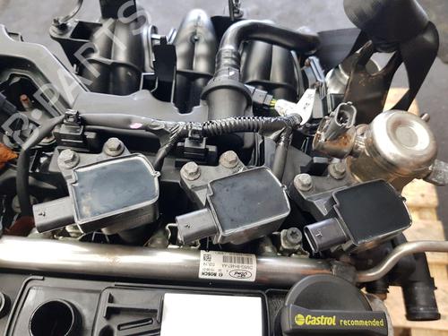 Engine FORD FIESTA VI (CB1, CCN) 1.0 | BP29045157M1