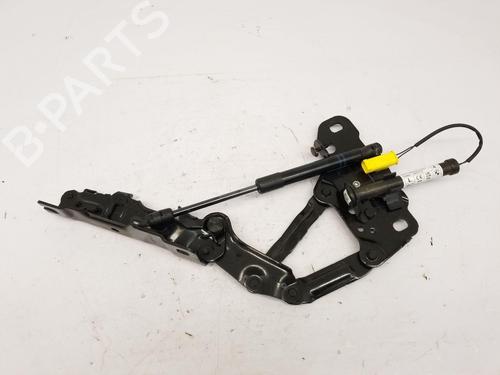 Hinge/Door check strap BMW X4 (G02, F98) xDrive 30 d | BP29984340C146