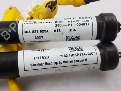 Módulo eletrónico BENTLEY CONTINENTAL Convertible (3S_) 4.0 V8 AWD | BP32177551M83