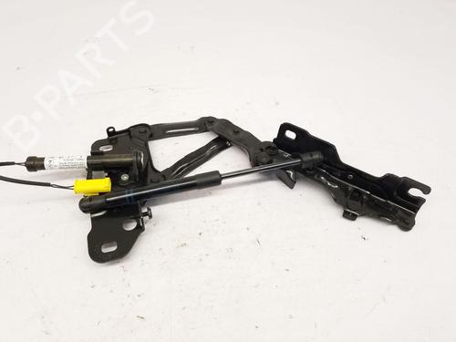 Hinge/Door check strap BMW X4 (G02, F98) xDrive 30 d | BP29984340C146