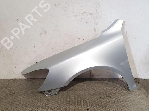 Used Left front fenders SKODA OCTAVIA II (1Z3) 2.0 TDI 16V (140 hp) 27186552
