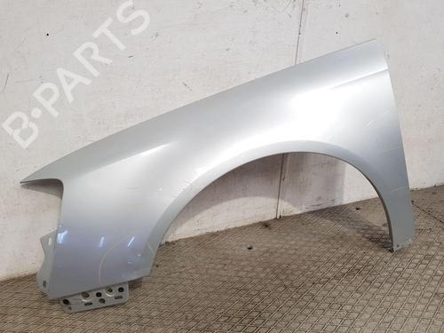 Left front fenders VW PASSAT B6 (3C2) 1.9 TDI | BP26569773C41 