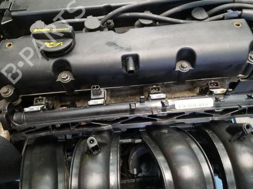 Engine FORD FIESTA VI (CB1, CCN) 1.25 | BP31983626M1