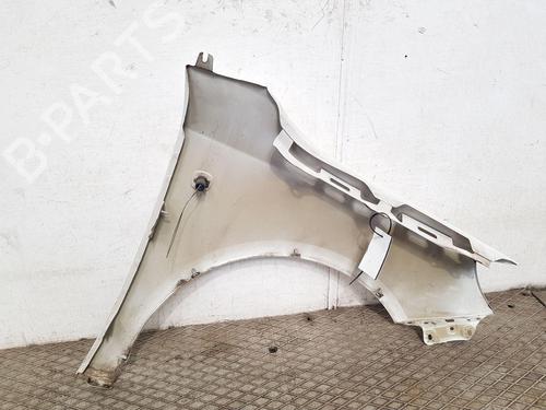 Left front fenders SKODA FABIA II Combi (545) 1.6 TDI | BP28501101C41 