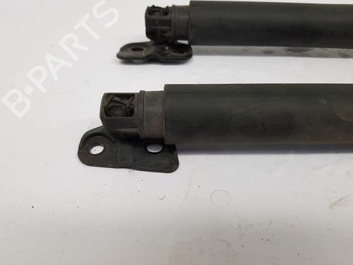 Tailgate lift support BMW 3 Touring (F31) 320 d | BP28066877C138