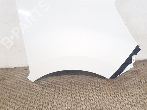 Right front fenders RENAULT MASTER III Van (FV)  | BP29045070C42 