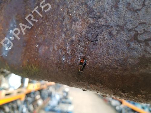 Engine CITROËN BERLINGO / BERLINGO FIRST MPV (MF_, GJK_, GFK_) 1.9 D (MFWJZ) | BP31301011M1