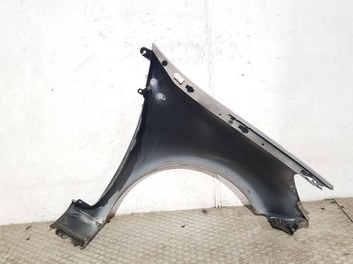 Left front fenders RENAULT CLIO III (BR0/1, CR0/1) 1.5 dCi (BR17, CR17) | BP30309687C41 