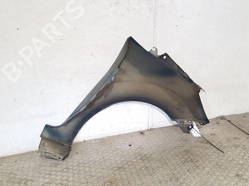 Left front fenders FORD FIESTA VI (CB1, CCN)  | BP25838652C41 