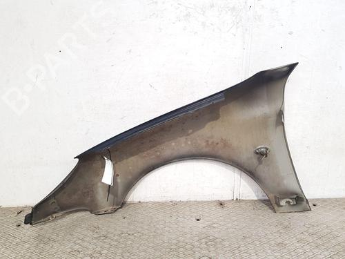 Right front fenders PEUGEOT 206 Hatchback (2A/C) 1.4 HDi eco 70 | BP27166834C42 