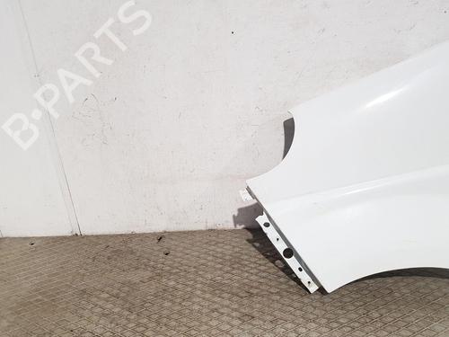 Forskærm venstre RENAULT TRAFIC II Van (FL) 2.0 dCi 115 (FL01, FL0U, FL00, FL0H, FL0M) | BP31282823C41