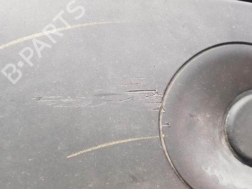 Front bumper RENAULT MASTER III Van (FV) 2.3 dCi 110 FWD (FV0R, FV0W, FV1A) | BP30554676C7 