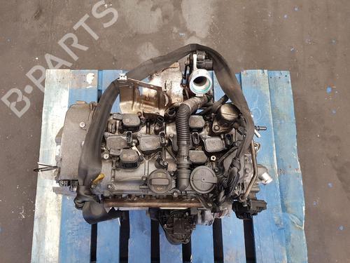 Engine VW TIGUAN (AD1, AX1) 2.0 TDI | BP27708584M1