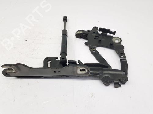Hinge/Door check strap BMW 3 (F30, F80) 318 d | BP29984273C146
