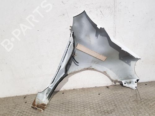 Left front fenders NISSAN MICRA IV (K13K, K13KK) 1.2 | BP29549436C41 