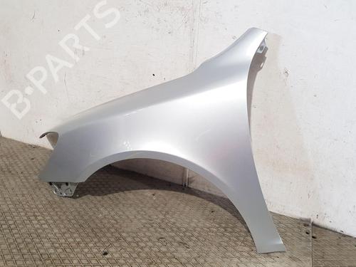 Left front fenders SKODA OCTAVIA II (1Z3) 2.0 TDI 16V | BP27186552C41 
