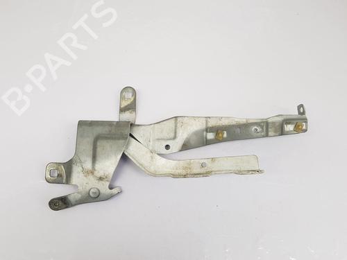 Hinge/Door check strap RENAULT CLIO IV (BH_) 1.5 dCi 90 | BP27974904C146 