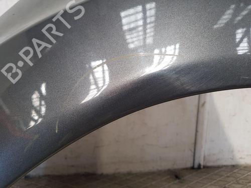 Left front fenders FORD FIESTA VI (CB1, CCN) 1.0 EcoBoost | BP27392625C41 