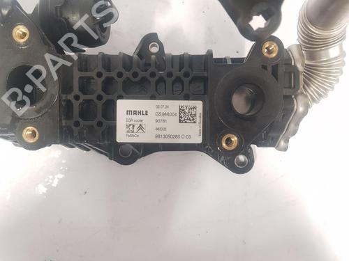 Egr OPEL VIVARO C Van (K0) 1.5 | BP31574510M69 