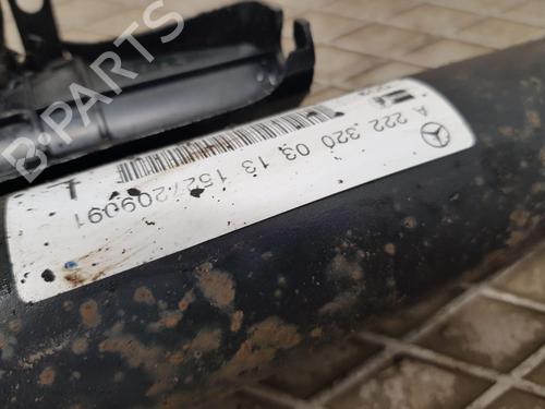 Left rear shock absorber MERCEDES-BENZ S-CLASS (W222, V222, X222) S 350 BlueTEC / d (222.132, 222.032, 222.123) | BP29956995M18