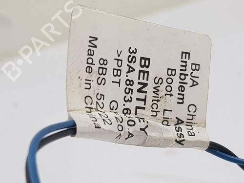 Mando BENTLEY CONTINENTAL Convertible (3S_) 4.0 V8 AWD | BP32177557I30 