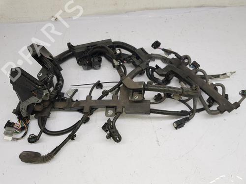 Ledningsnet TOYOTA COROLLA Hatchback (_E21_, _EA1_, _EH1_) 1.8 Hybrid (ZWE211, ZWE219) (122 hp) 30650005