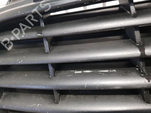 Grille AUDI A3 (8P1) 2.0 TDI 16V | BP24918606C40 
