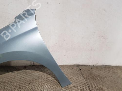 Left front fenders PEUGEOT 207 (WA_, WC_) 1.4 | BP30840053C41