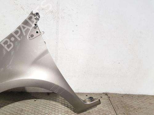 Left front fenders RENAULT CLIO III (BR0/1, CR0/1) 1.5 dCi (BR17, CR17) | BP30309687C41 