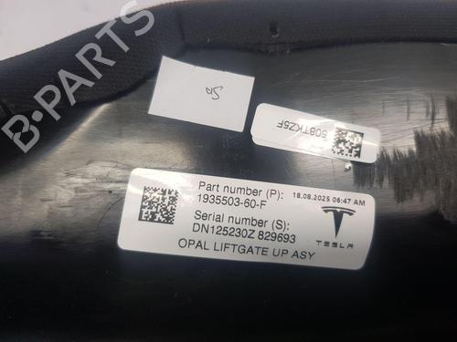 Other TESLA MODEL Y (5YJY)  | BP35745975O1  - Image 5