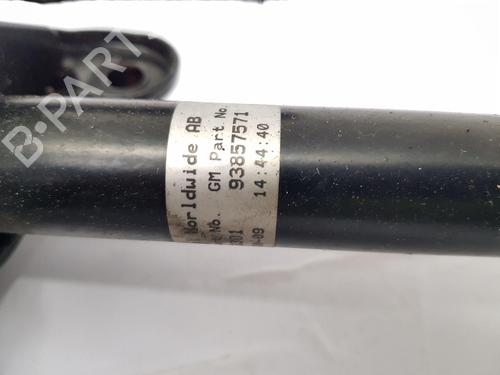 Gaspedaal RENAULT TRAFIC II Van (FL) 2.0 dCi 115 (FL01, FL0U, FL00, FL0H, FL0M) | BP31690961I4 