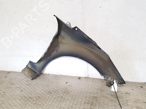 Left front fenders FORD FIESTA VI (CB1, CCN)  | BP25838652C41 