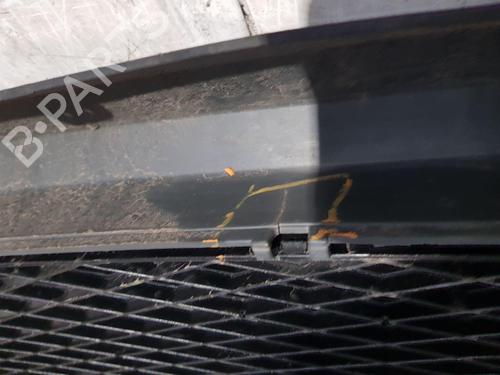Grille FORD FIESTA V (JH_, JD_) ST150 | BP24173101C40 