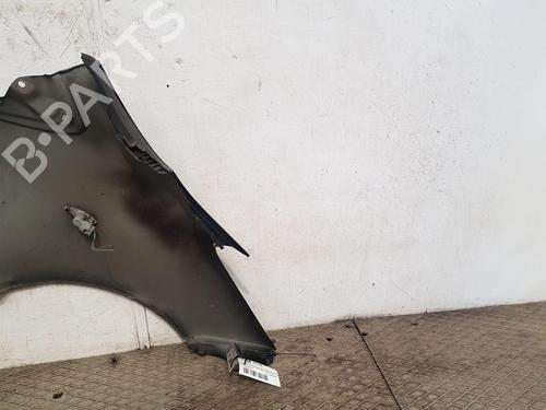 Left front fenders TOYOTA YARIS (_P9_) 1.33 VVT-i (NSP90_, NSP90R) | BP29167783C41 