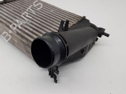 Intercooler NISSAN QASHQAI II (J11, J11_) 1.5 dCi | BP31282568M30