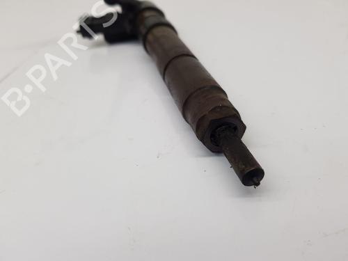 Injector LAND ROVER FREELANDER 2 (L359) 2.2 TD4 4x4 | BP32252046M100
