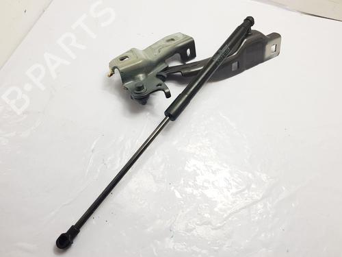 Hinge/Door check strap ALFA ROMEO GIULIA (952_)  | BP23966196C146 