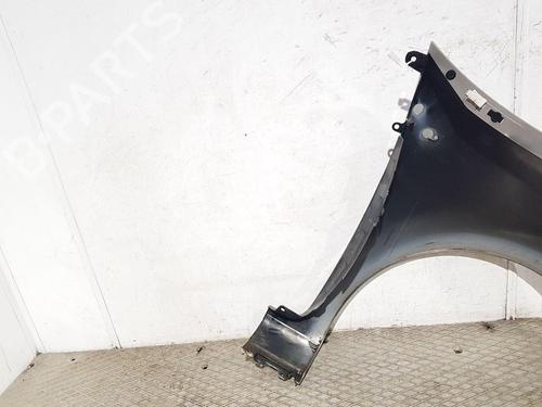 Left front fenders RENAULT CLIO III (BR0/1, CR0/1) 1.5 dCi (BR17, CR17) | BP30309687C41 