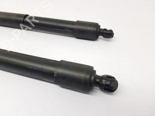 Tailgate lift support LEXUS UX (_AA1_, _AH1_, _MA1_) 250h (MZAH10) | BP30045252C138 