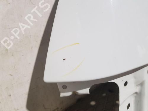 Left front fenders FORD TRANSIT CONNECT (P65_, P70_, P80_) 1.8 TDCi | BP30581241C41 