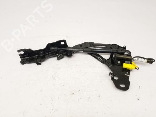 Hinge/Door check strap BMW X4 (G02, F98) xDrive 30 d | BP29984340C146