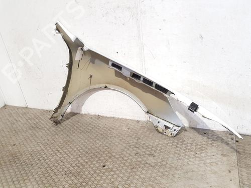 Left front fenders SKODA OCTAVIA II (1Z3) 2.0 TDI 16V | BP27186552C41 
