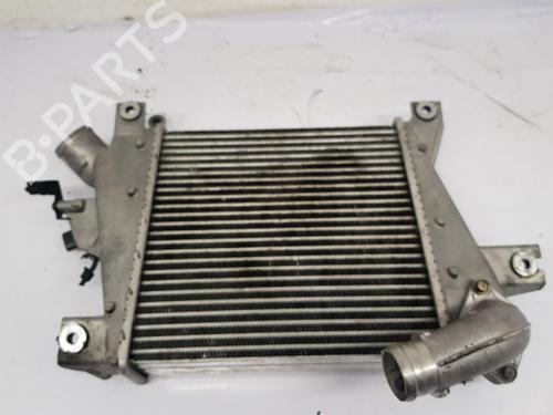 Used Intercooler Intercooler NISSAN X-TRAIL I (T30) 2.2 dCi 4x4 (136 hp) 30690048 30690048