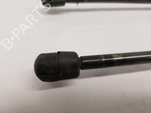 Gasdæmper bagklap FORD TRANSIT CUSTOM V362 Bus (F3)  | BP28119854C138 