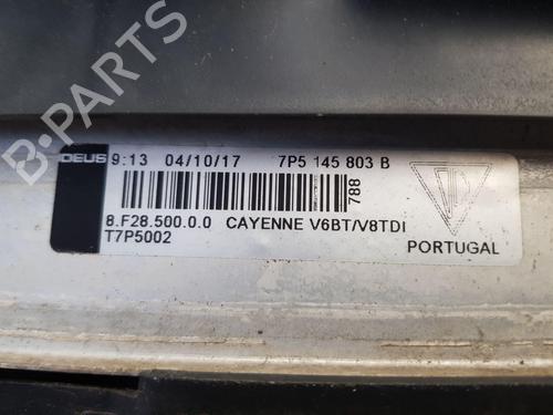 Water radiator PORSCHE CAYENNE (92A) 3.6 GTS | BP28119781M31 