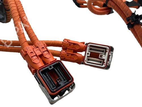 Wiring harness VW TAYRON (R41) 2.0 TDI | BP36069197E16 - Image 5