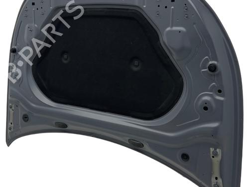 Motorhjelm CUPRA TERRAMAR (KP1) 2.0 TSI 4Drive | BP38317108C1 - Image 11